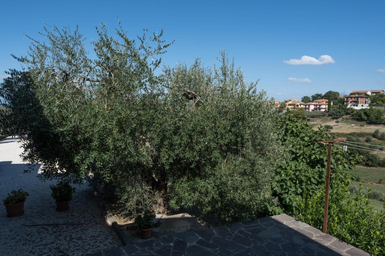 Appartamento La Casa Di Sara Città della Pieve Esterno foto